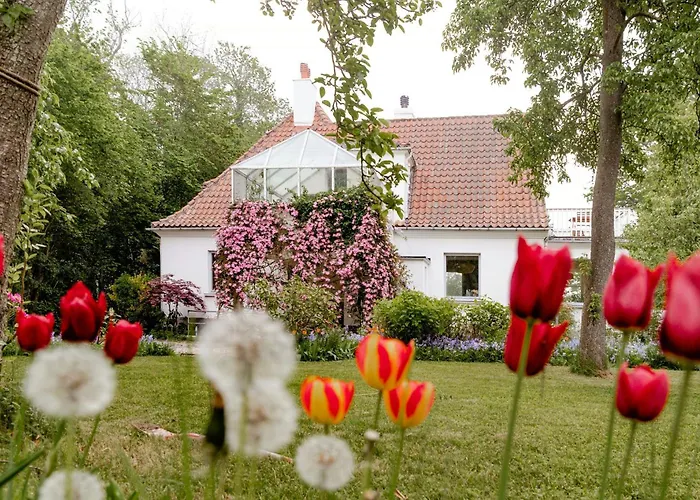 House From 1924 With Sea View In Front Yard Mommark