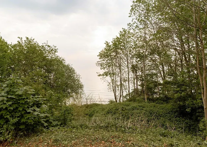 بيت للعطل House From 1924 With Sea View In Front Yard